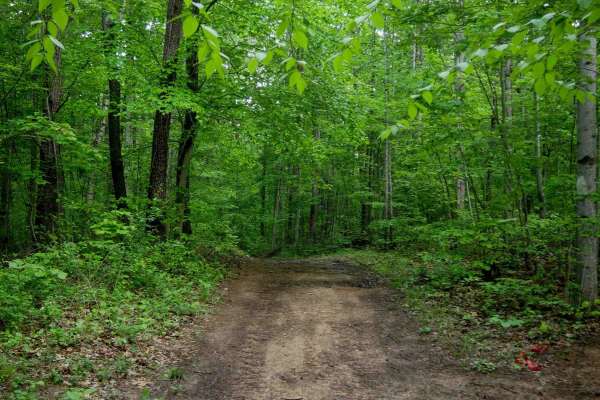 Trail 2