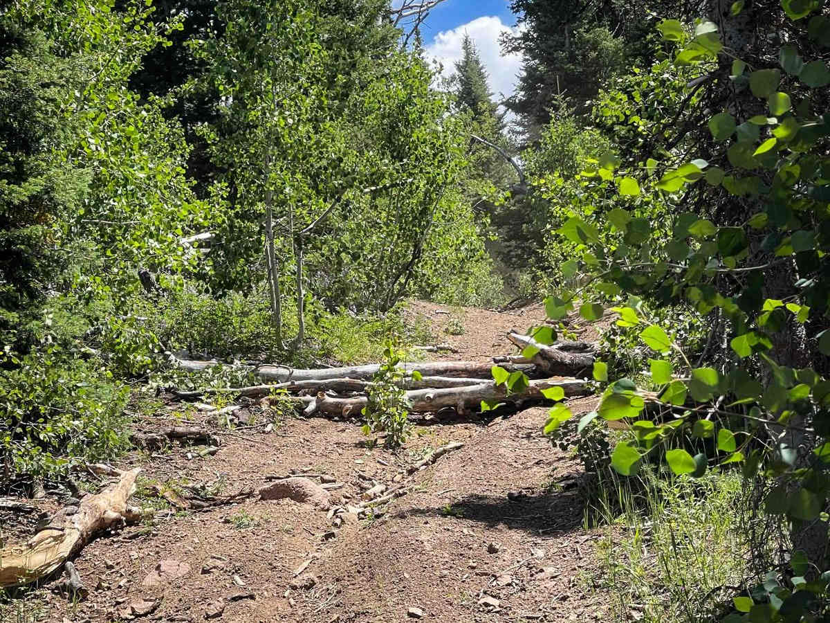 Elkhorn Trail North photo 4