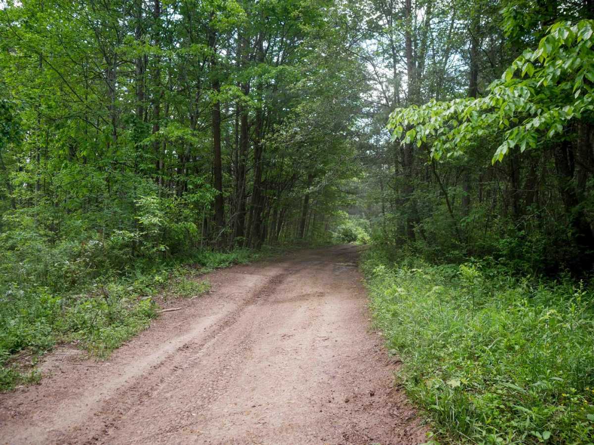 Trail 19 photo 4