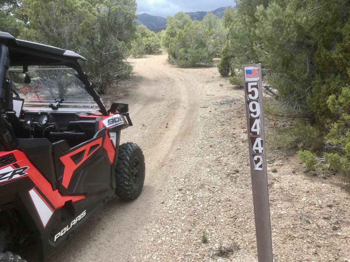 Ice Plant Springs Road trail photo