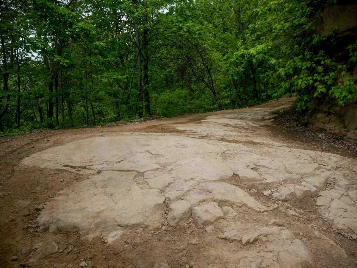 RH 26 trail photo