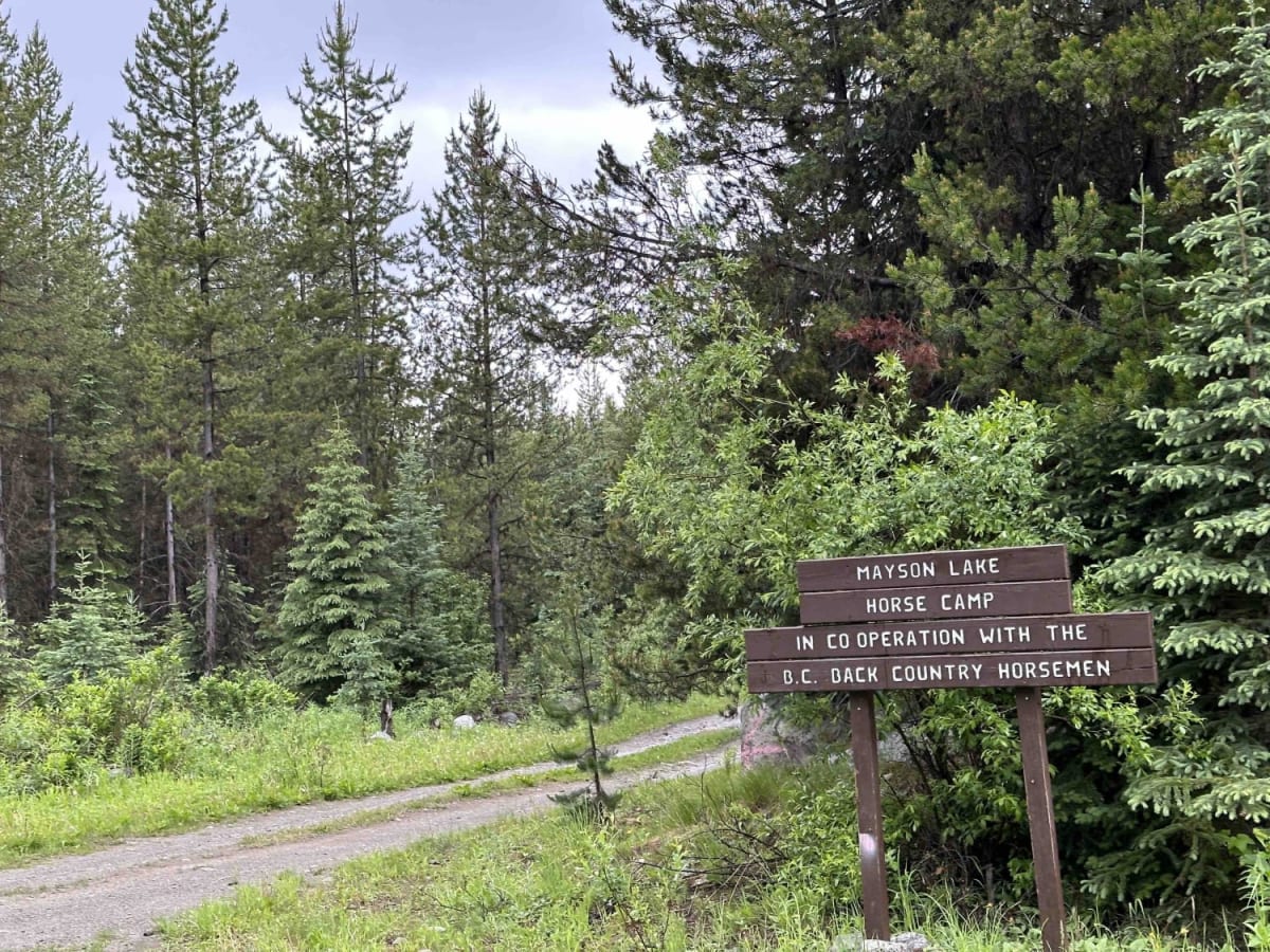Powder Lake Road to Mayson Lake Horse Camp photo 2