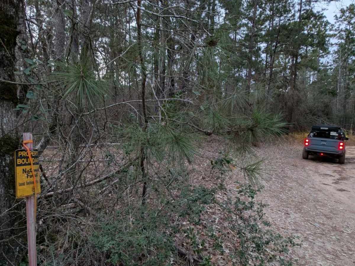 Gas Pump Trail photo 3