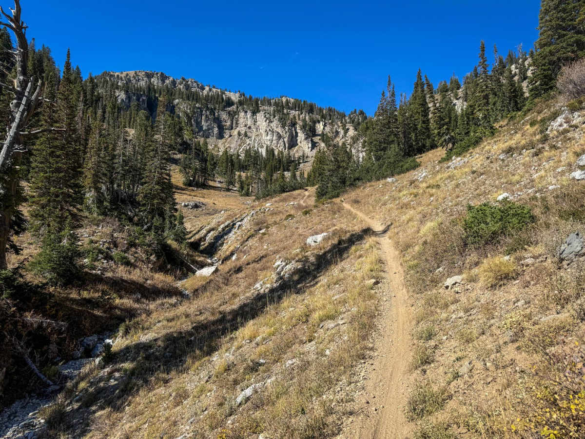 Ridge photo 4