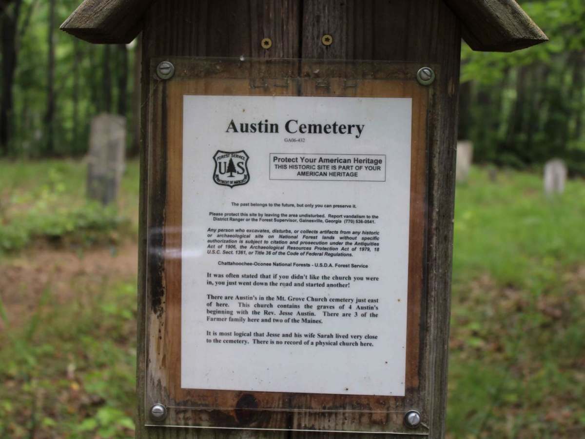 Georgia Mountain Orchard photo 5