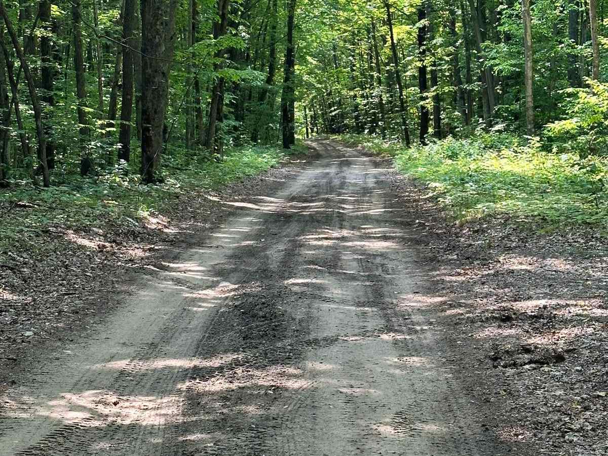 Trail 48466 photo 3
