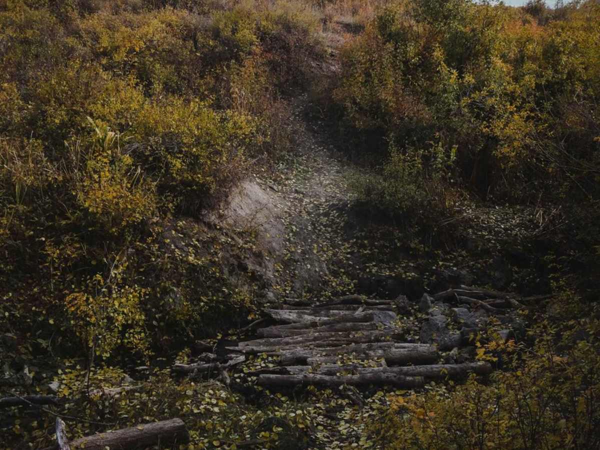 Point Camp Trail photo 5