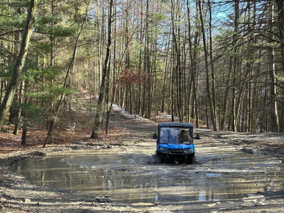 Locust Gap 36 trail photo