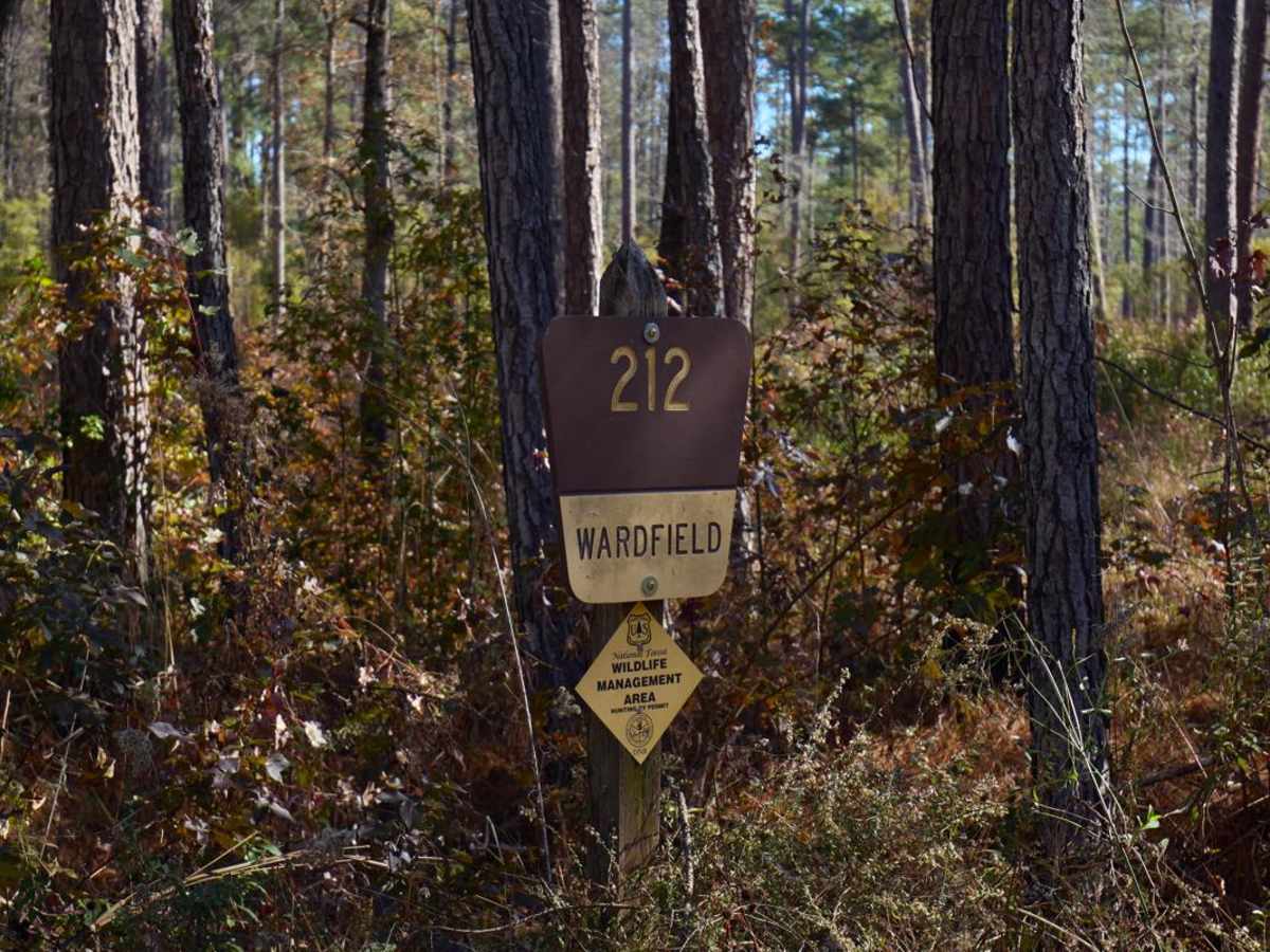 Wardfield - FSR 212 photo 5