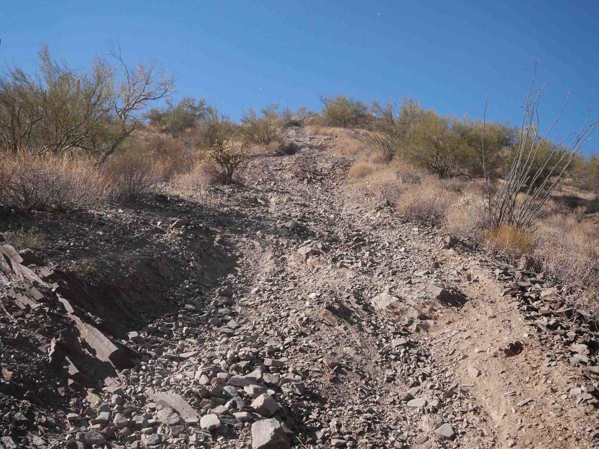 31038 trail photo