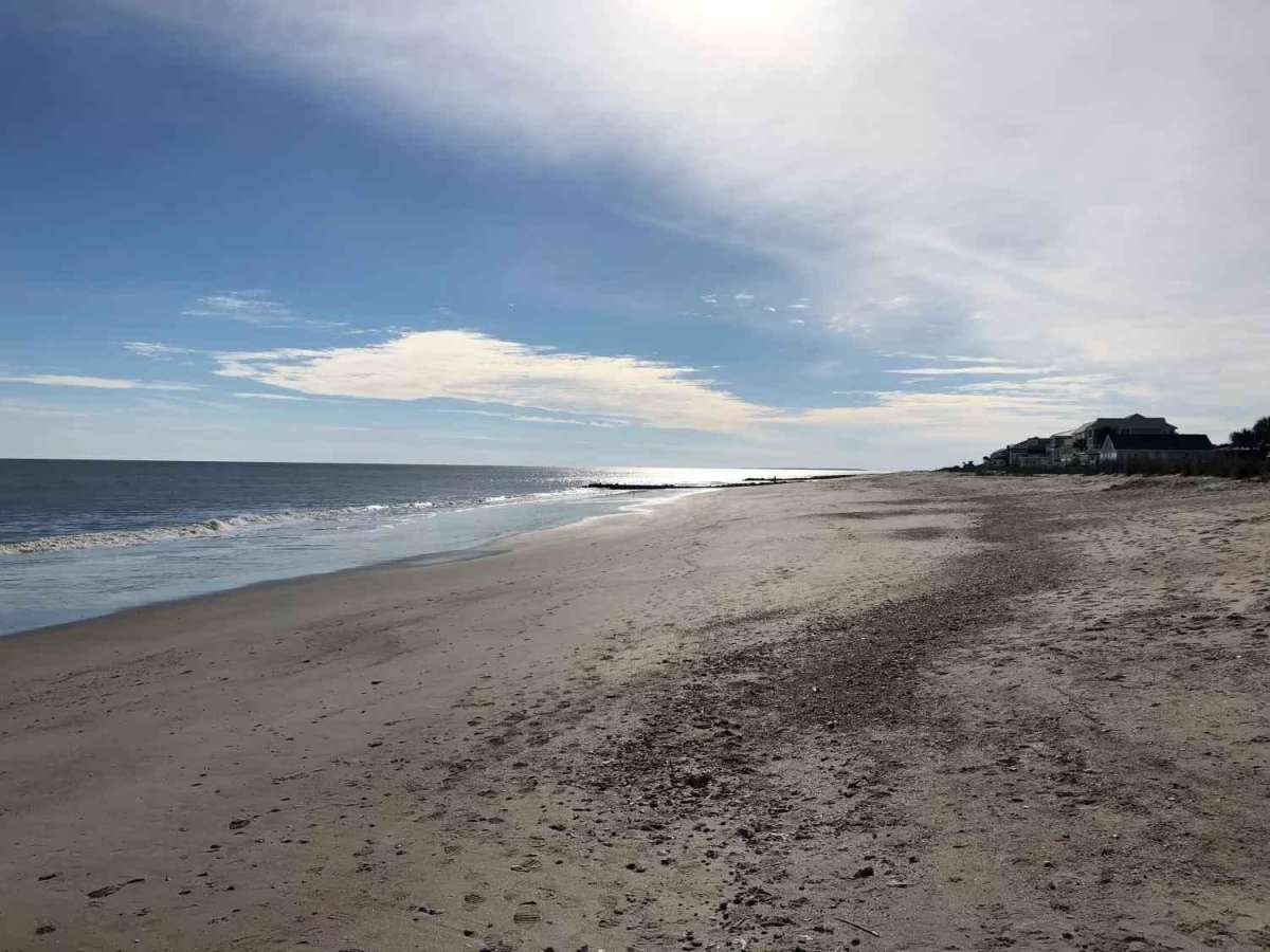 SCAR Connector - Edisto photo 6