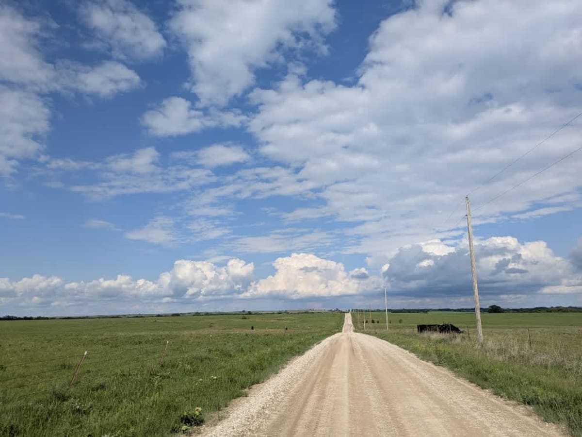 Road 310 photo 6