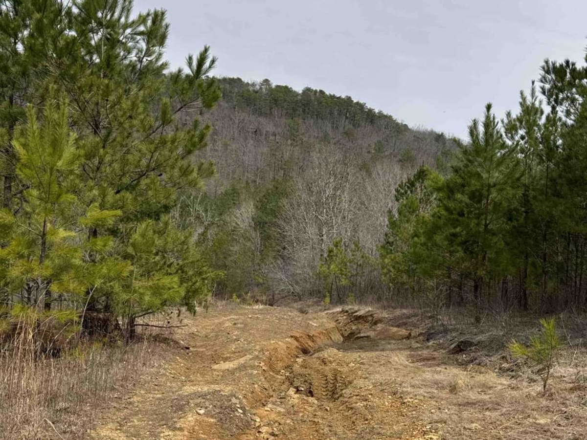 #73b Lower Ditch photo 5