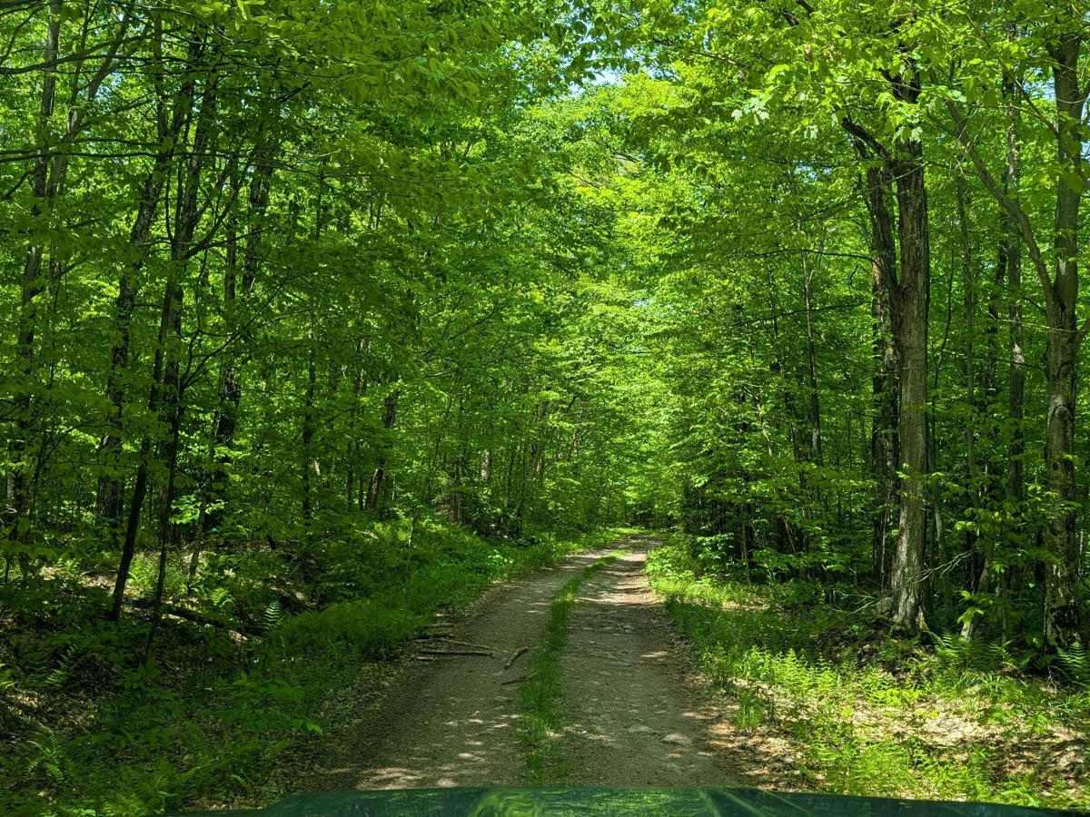 Goblet Springs Road photo 3