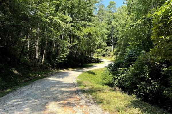 West Seed Lake Road