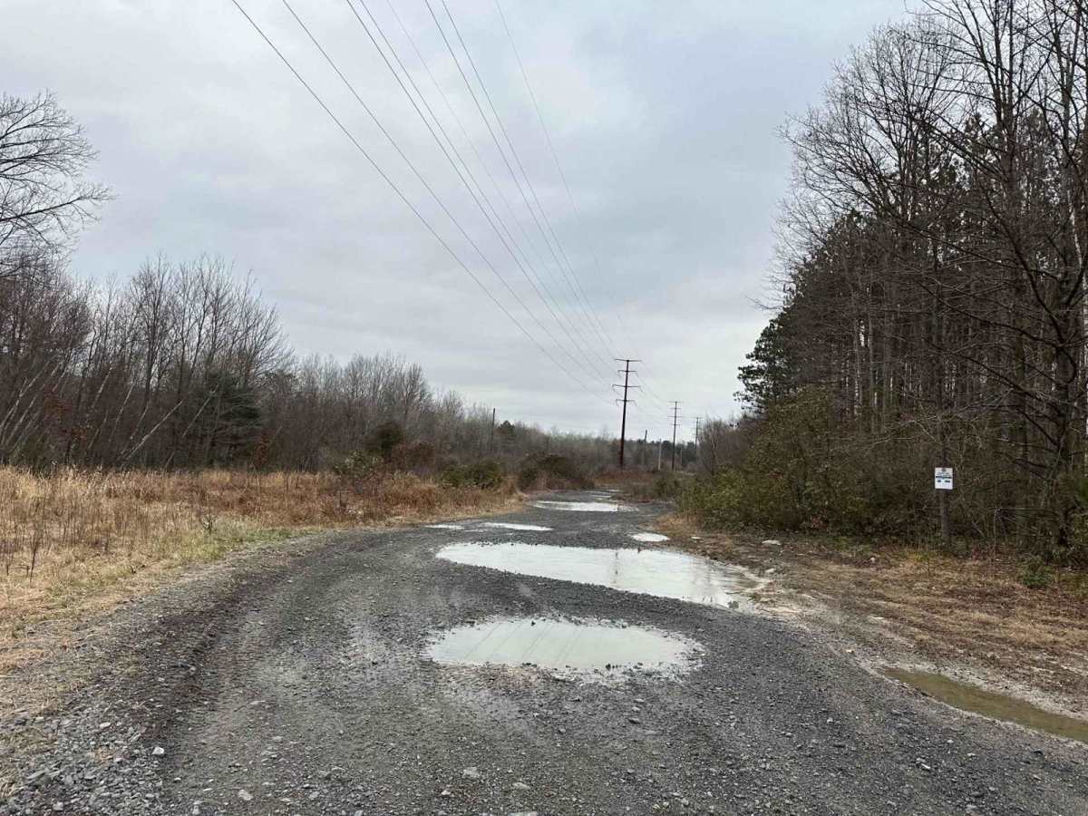 Locust Gap 27 photo 2