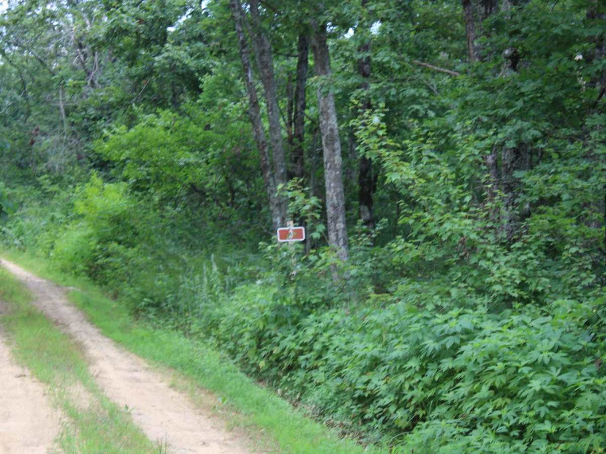 Petit Jean Road To Jack Creek photo 4