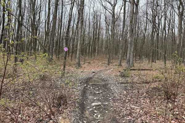 St. Keirns Single Track 4