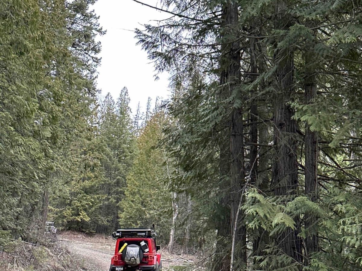 Albers Creek Road photo 6
