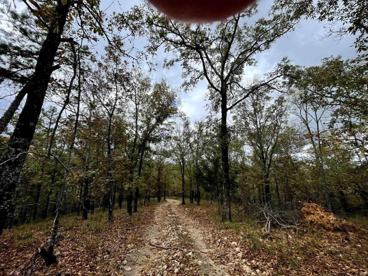 J8 Dave's Way photo 2