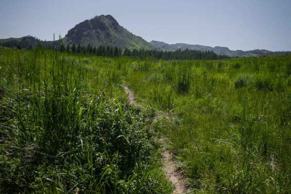 Cow Creek Shortcut