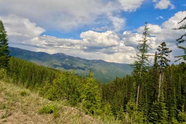 W. Nine Mile Rd (5520)-First Cr Rd (5475)