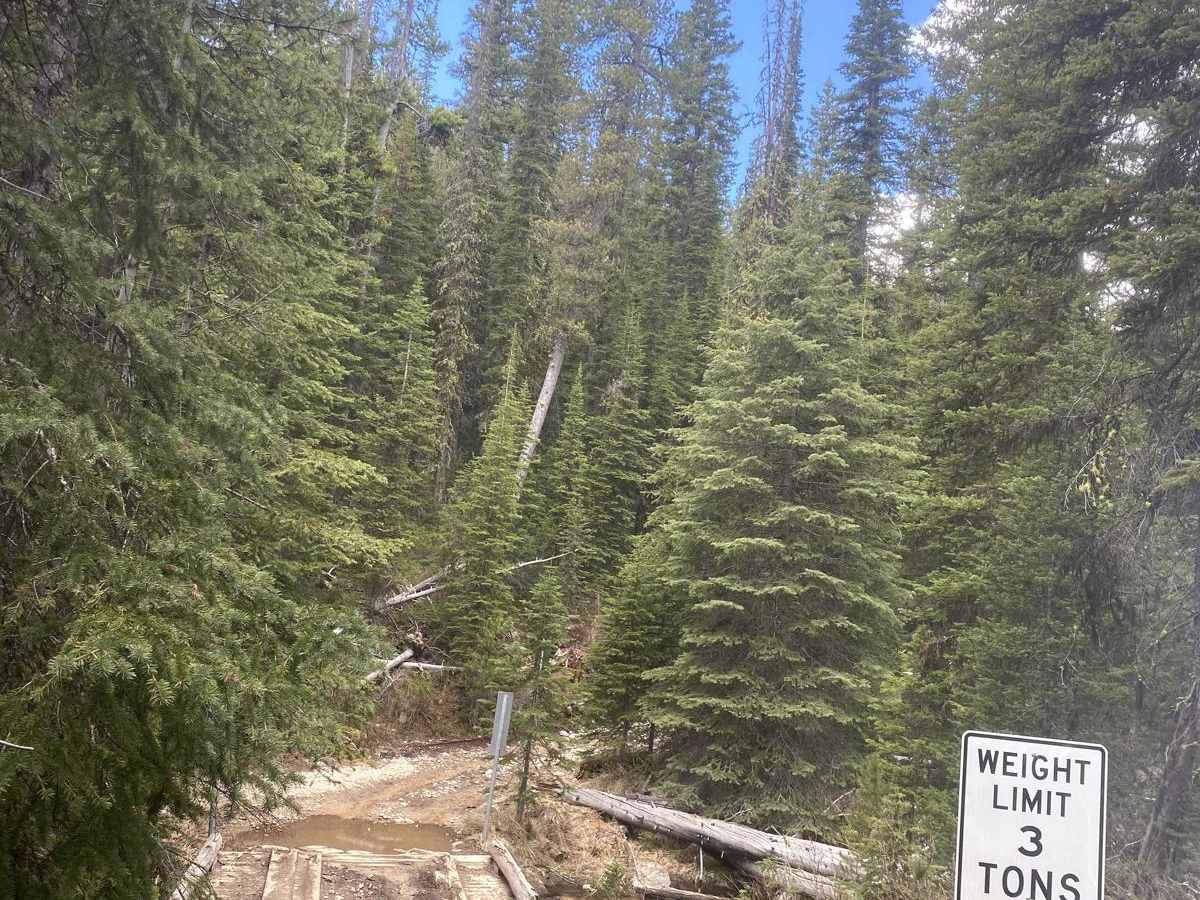 Alpine Lake photo 4