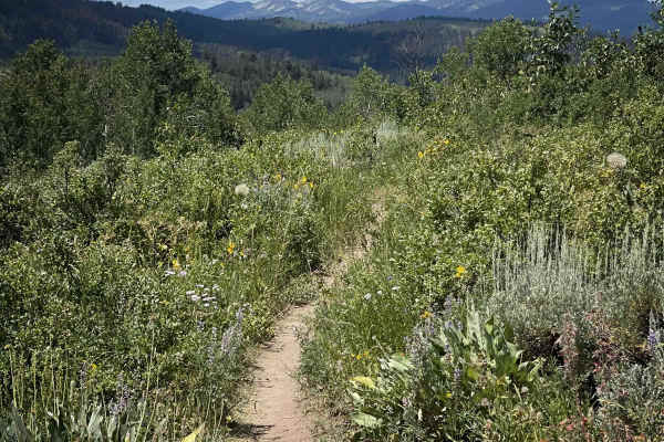 Tusky Ridge