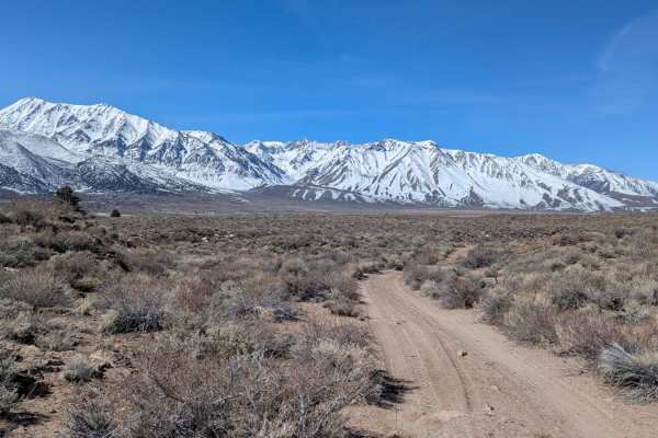 Crowley Lake Eastside - FS 4245