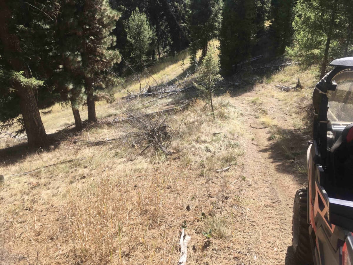SCOP-12 photo 6