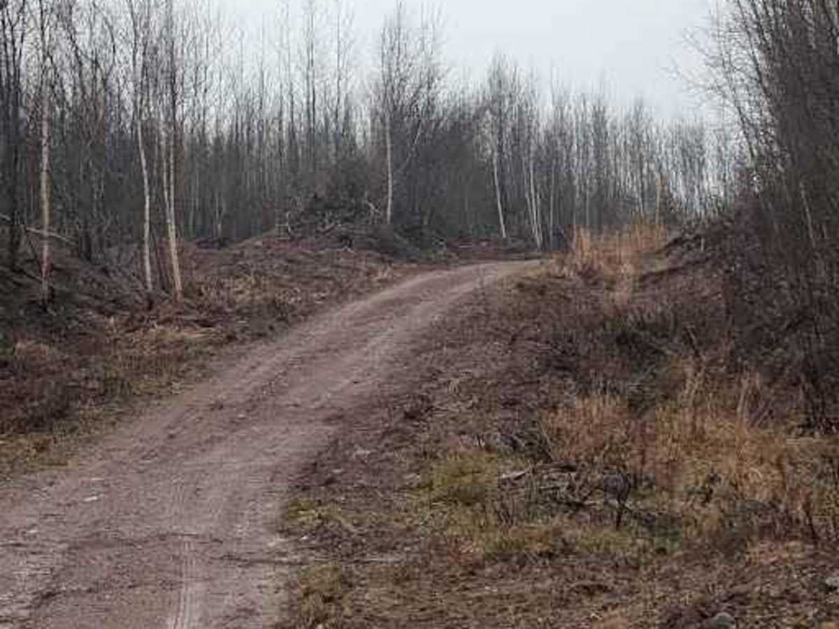 Claudie Pit Backroad photo 3