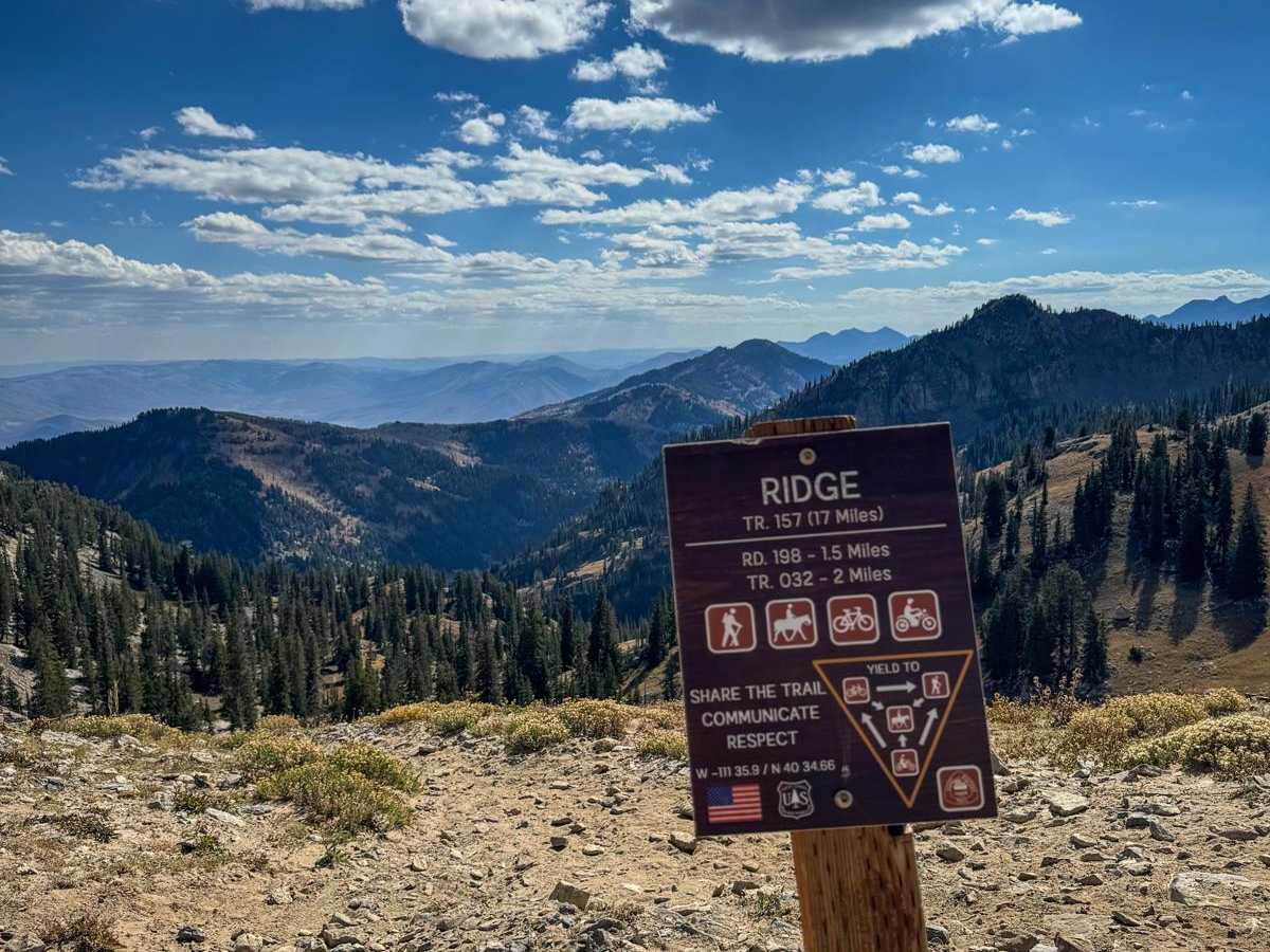 Ridge trail photo
