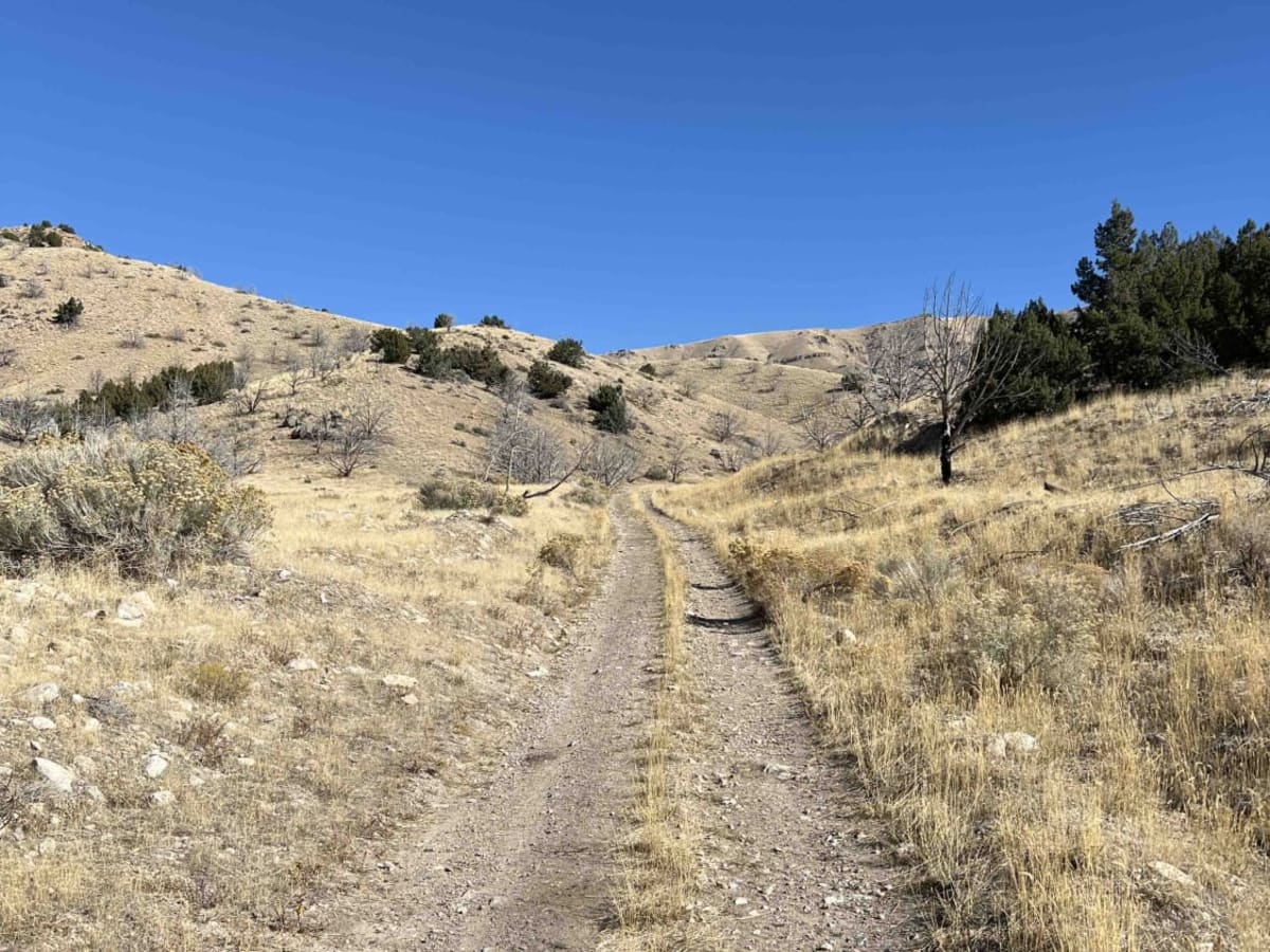 Quincy Spring Canyon photo 2