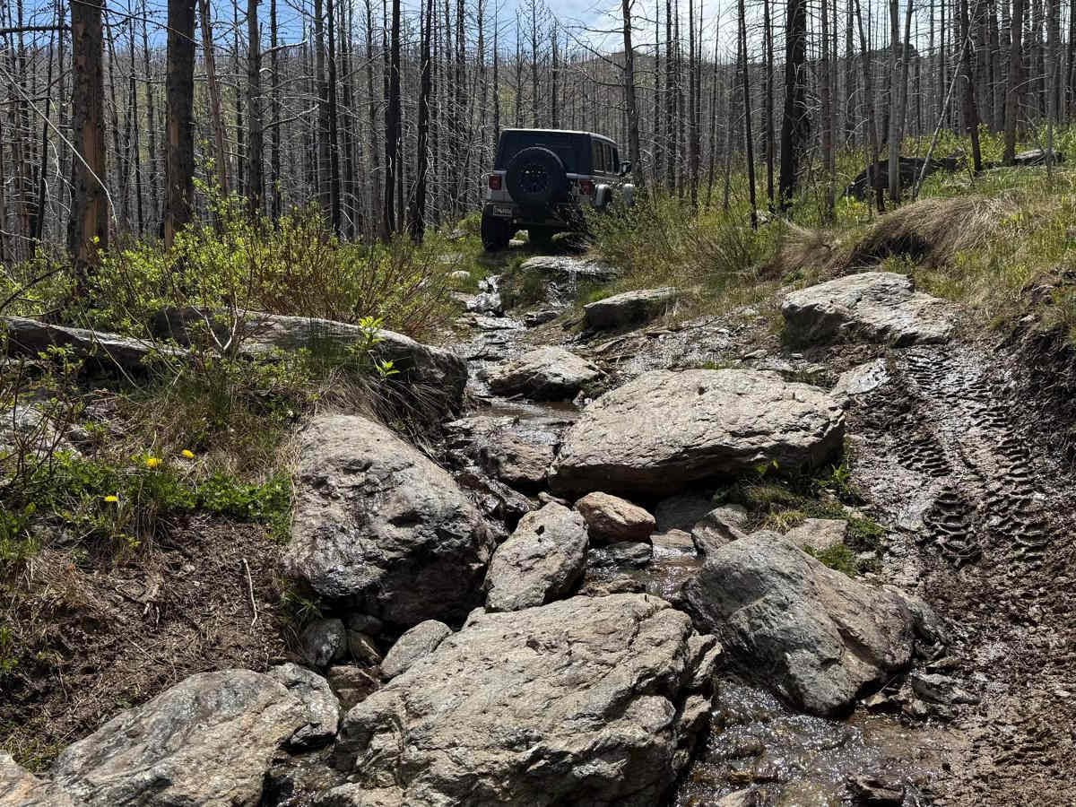 Hurley Road trail photo
