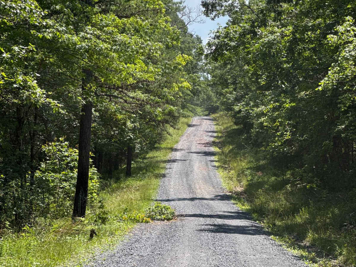 Chrisman Hollow - FS 274 photo 2
