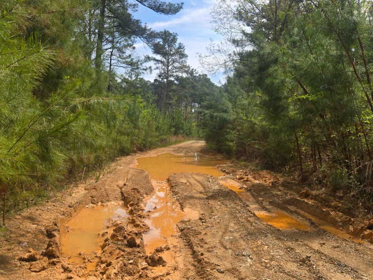 Golf Course Trail photo 6