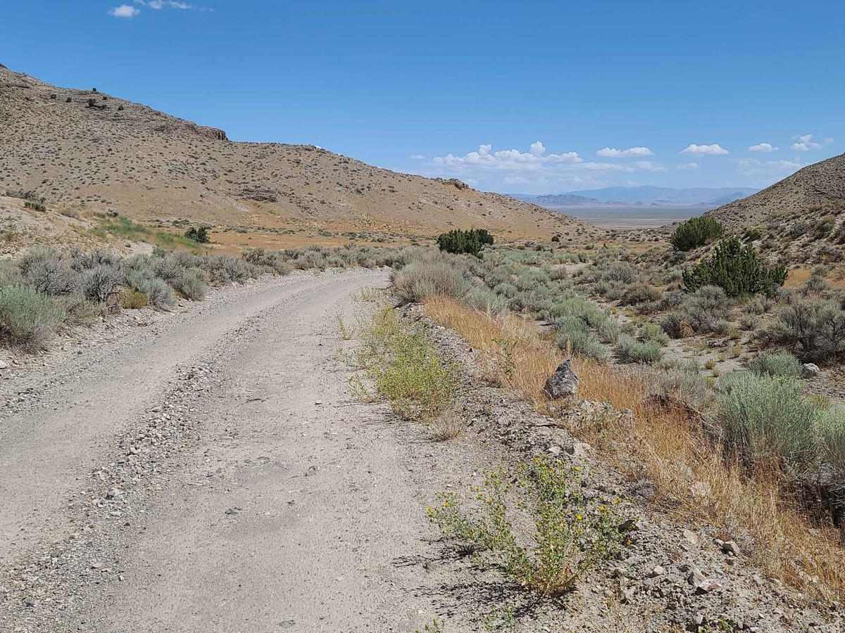 Fandangle Canyon trail photo