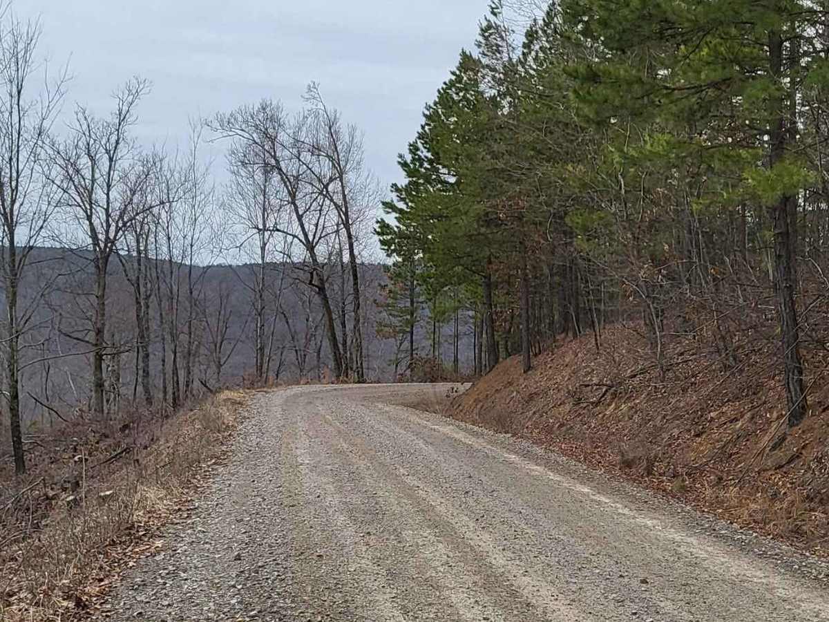 White Rock Mountain - East photo 2