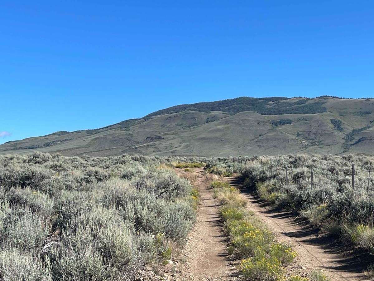 Mumford Gulch Trail photo 3