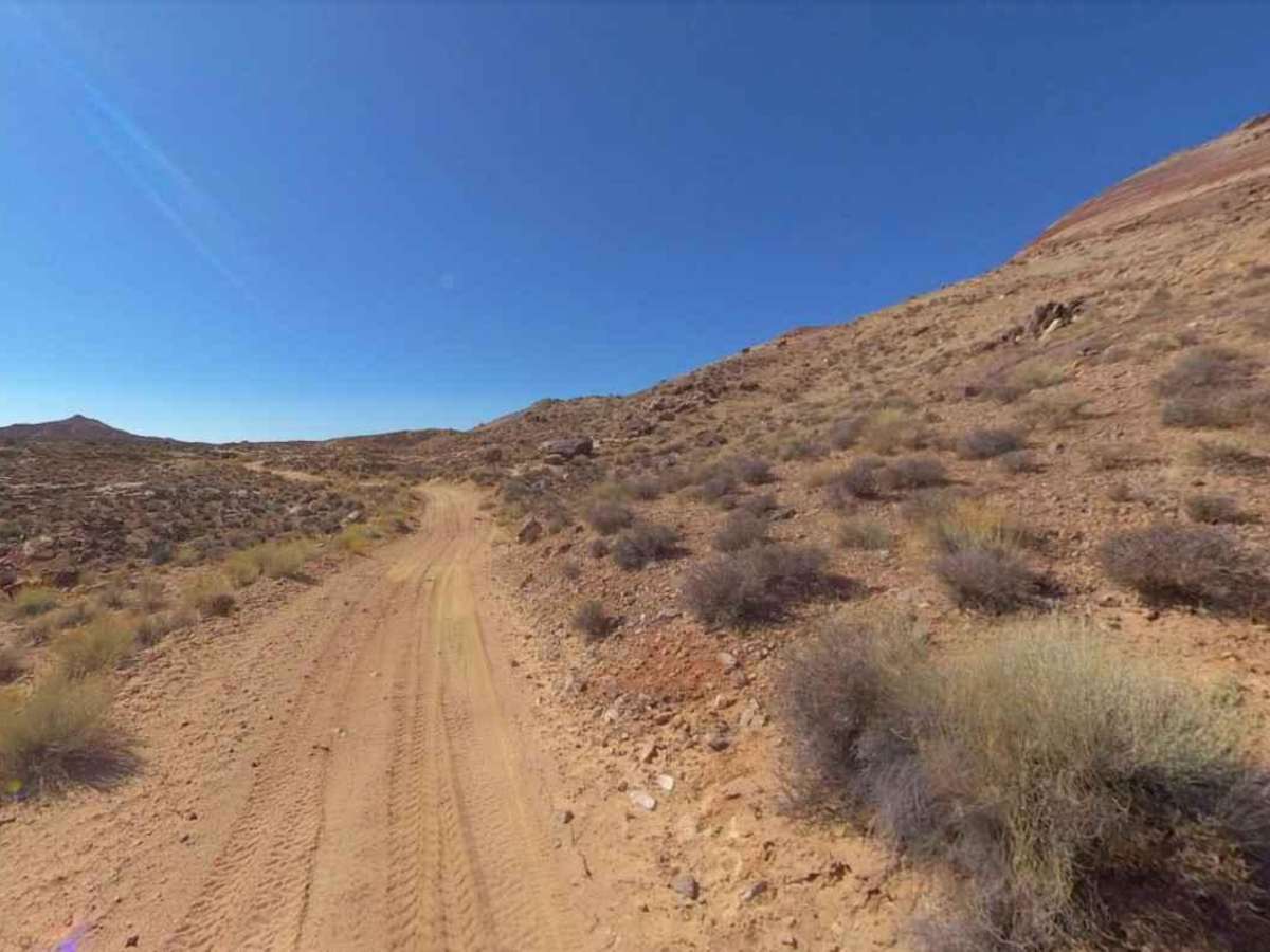 BLM13325 photo 4
