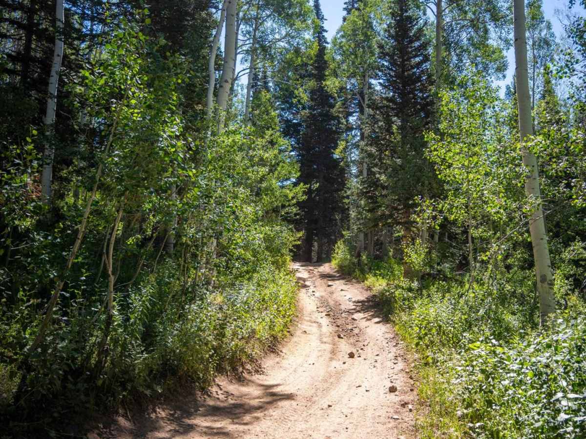 Hoyt Canyon photo 4