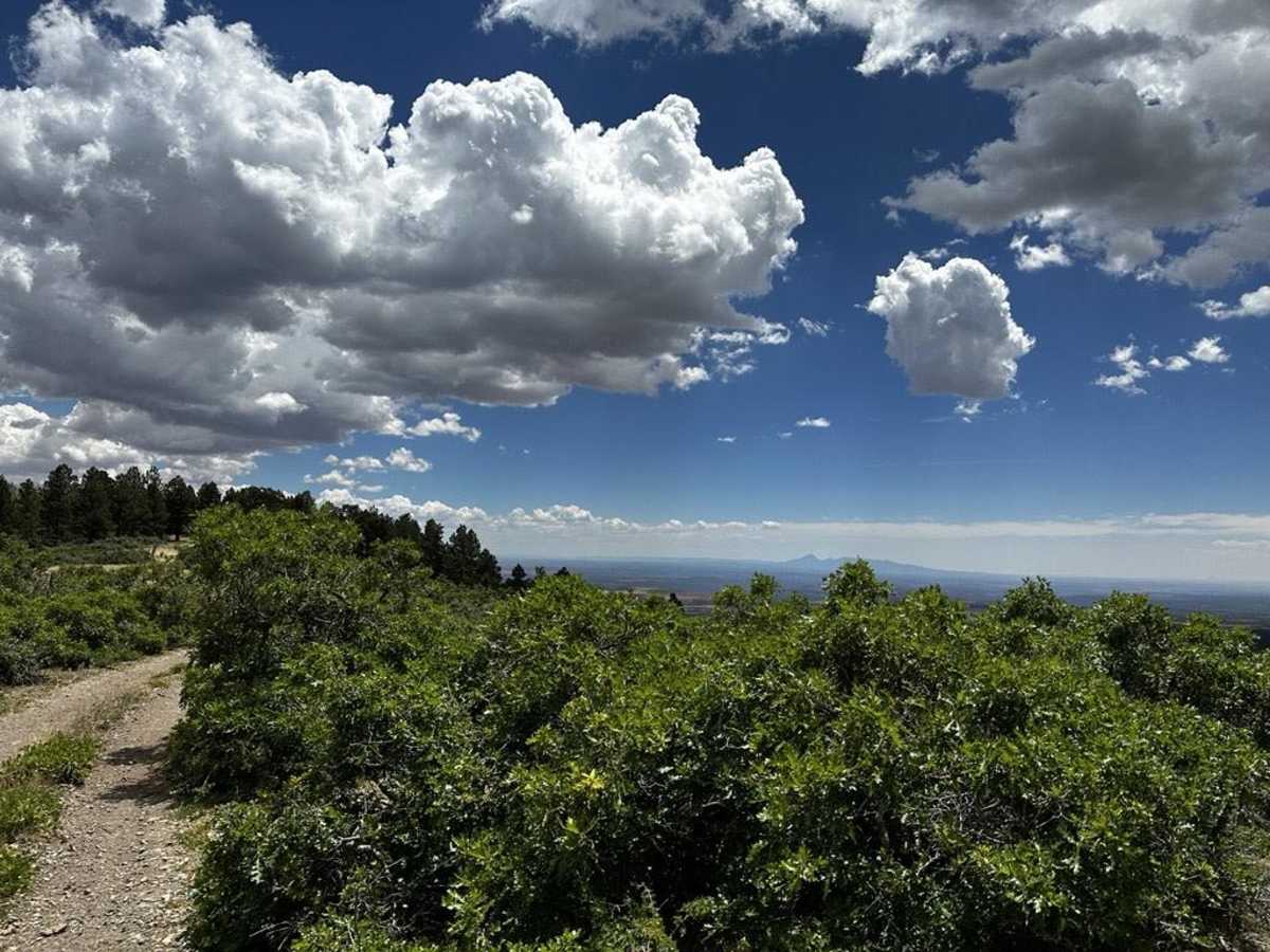Trail - 55249 photo 2