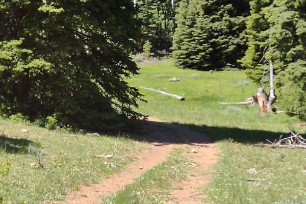 Sheepherder's Park (FS# 41080)