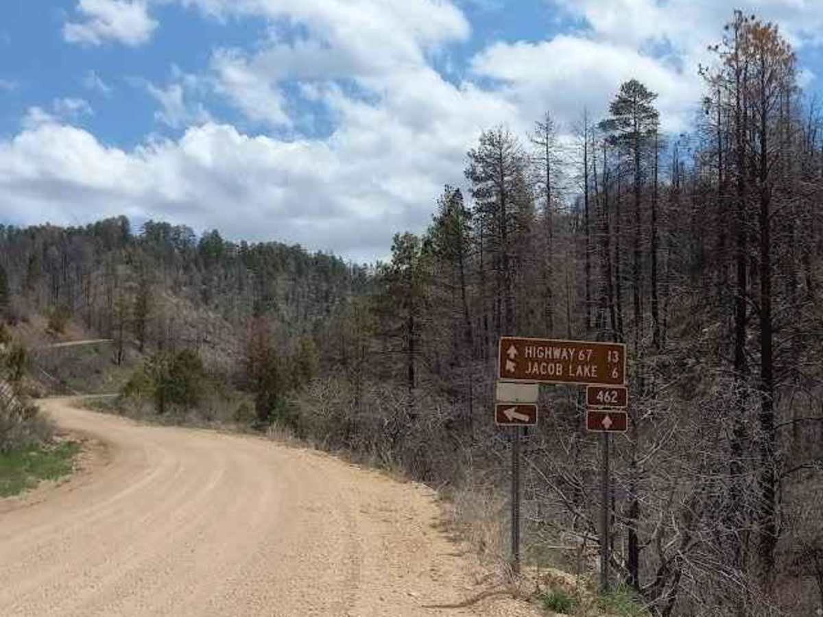 461/Jacob Lake photo 4