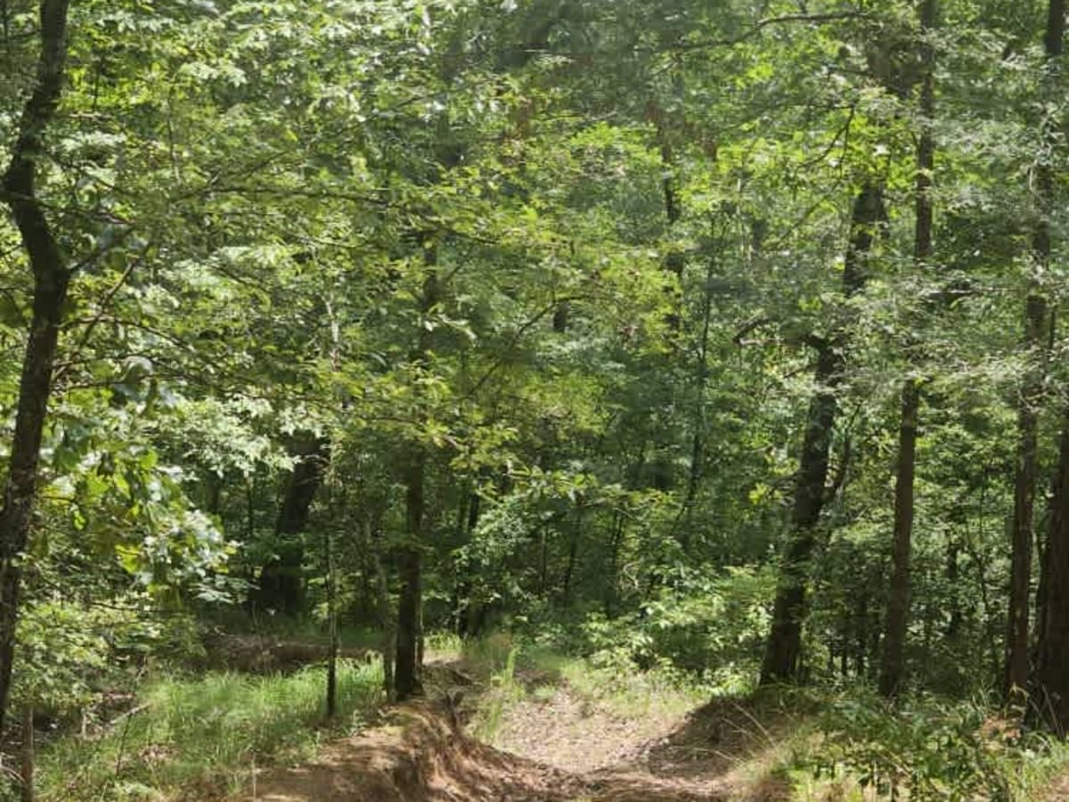 East Creek photo 2