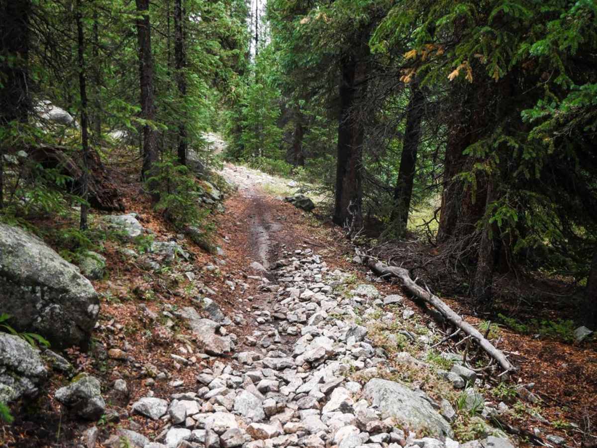 Gold Creek (North) photo 4