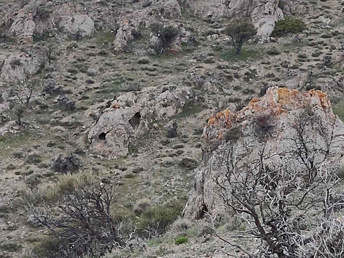 Hammond Canyon to Appendicitis Hill photo 2