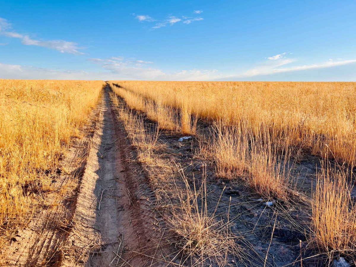 Idaho Centennial Trail 7 photo 5