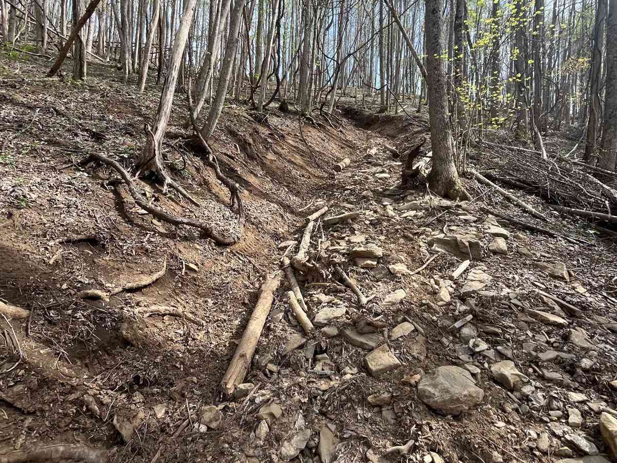 Devil's Backbone - 93B photo 5