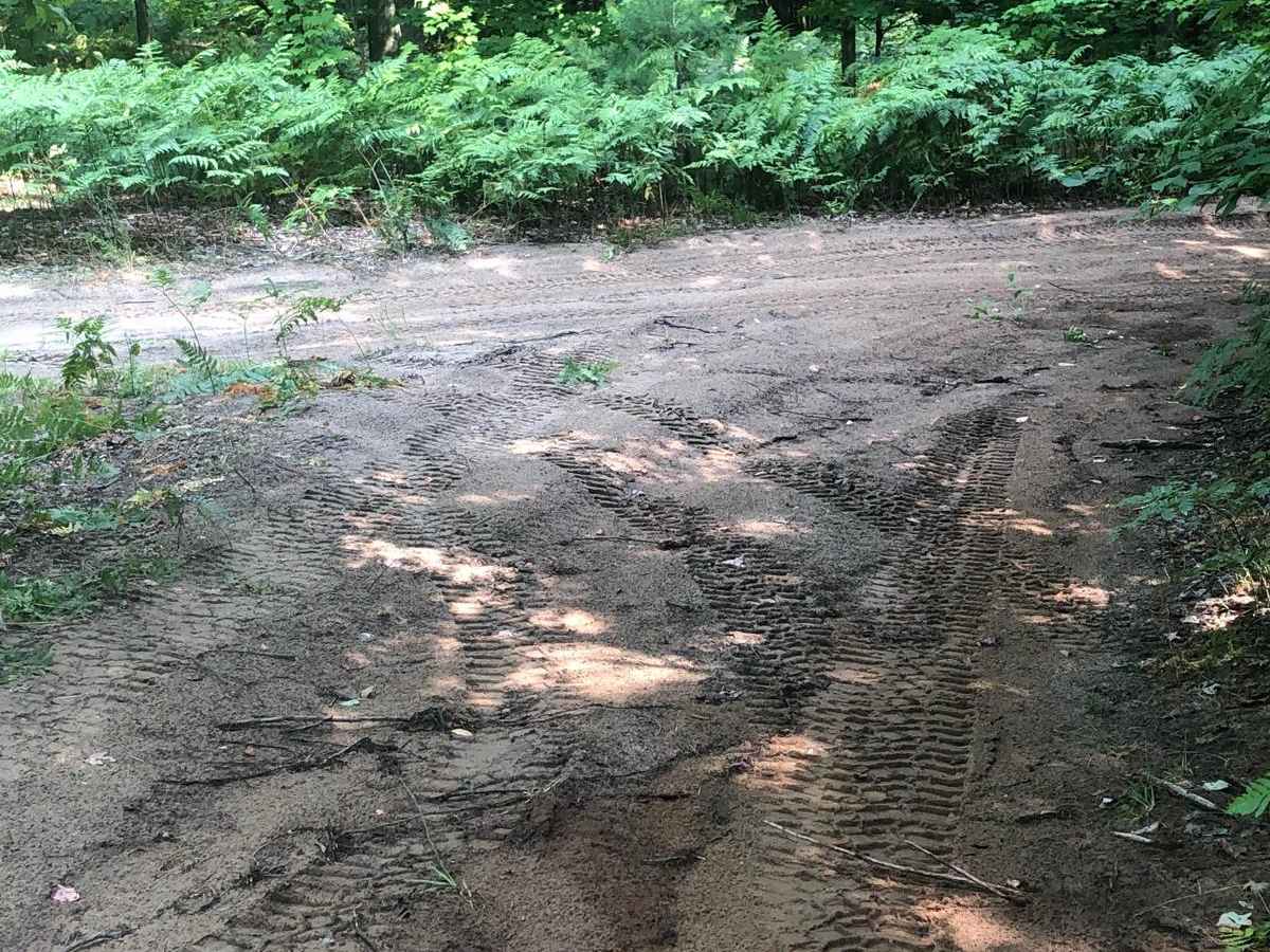 Betsie Valley Spur trail photo